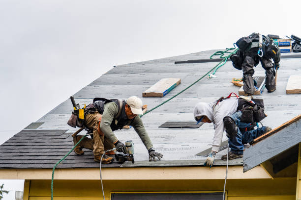 Professional Roofing technician working in Preston Hollow, NY